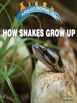cover image of How Snakes Grow Up